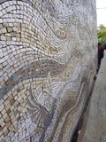 Waves and Dragonflies Mosaic Mural Project